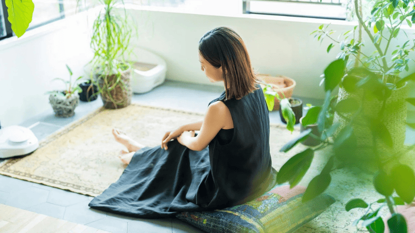 Xu hướng không thể đảo ngược: Về nhà để chữa lành 4